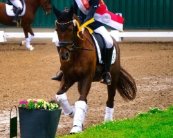 dressage horse Epik's Ephisto (unknown, 2007, from Epik)