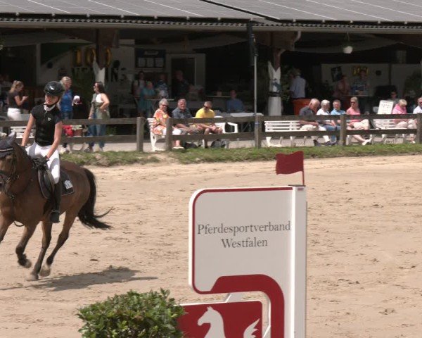 Reitturnier Münster-Roxel 2025