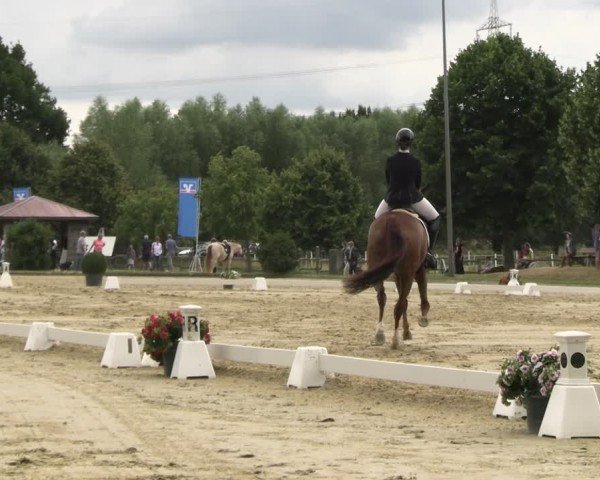 Reitturnier Münster-Roxel 2025