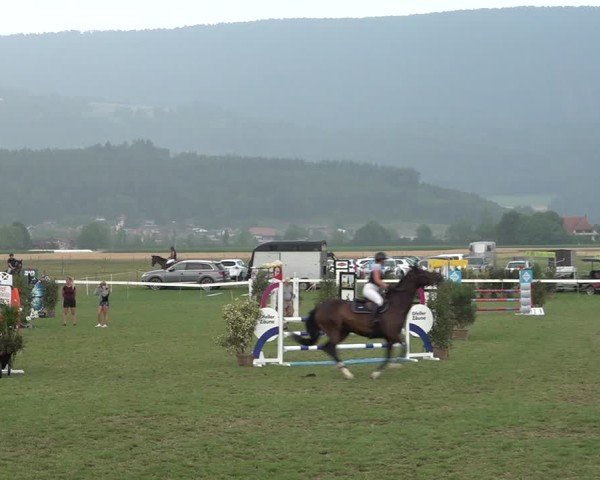 Reitturnier Büren an der Aare 2025