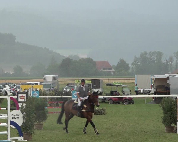 Reitturnier Büren an der Aare 2025