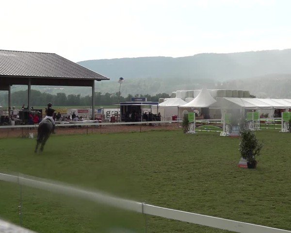 Reitturnier Büren an der Aare 2025