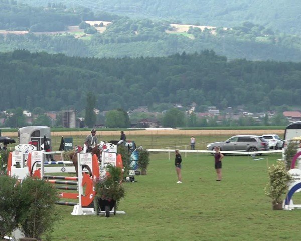 Reitturnier Büren an der Aare 2025