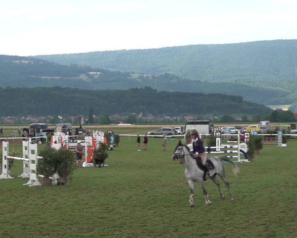 Reitturnier Büren an der Aare 2025