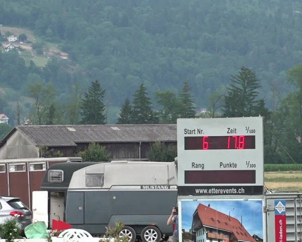 Reitturnier Büren an der Aare 2025