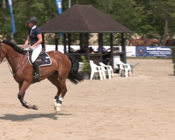 Reitturnier Münster-Roxel 2025
