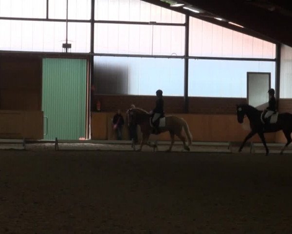 Iserlohn-Kalthof 2014