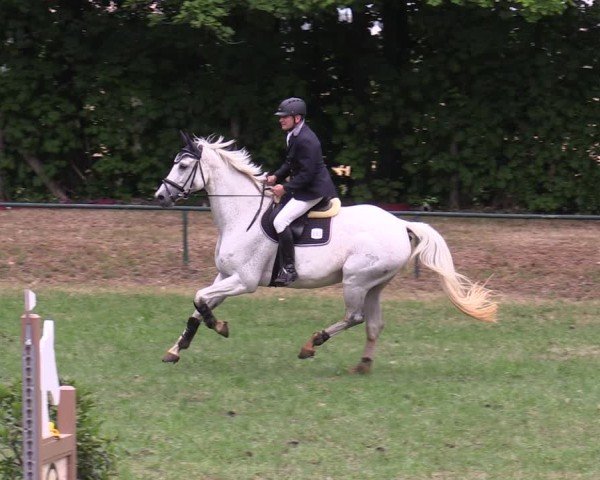 Reitturnier Limbach-Oberfrohna 2025