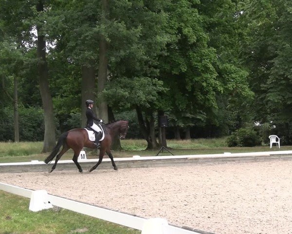 Reitturnier Redefin 2025