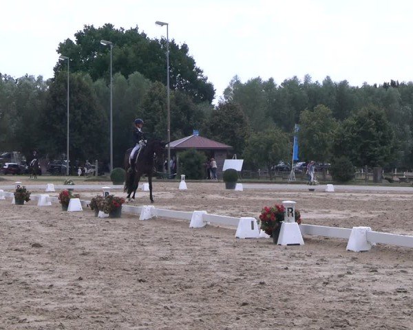 Reitturnier Münster-Roxel 2025