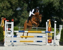 jumper Cool Michl (German Warmblood, 2019, from Coreggio)