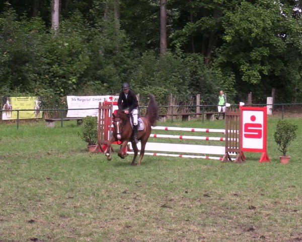 Reitturnier Limbach-Oberfrohna 2025