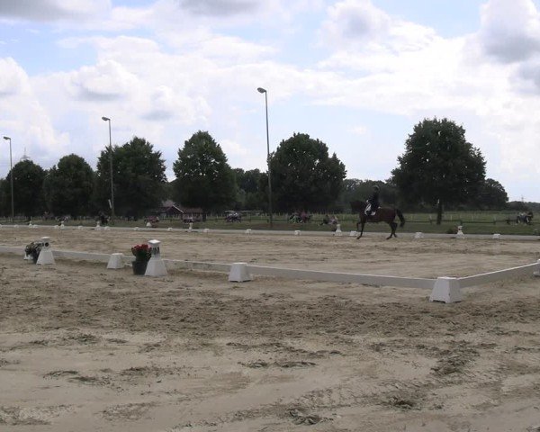 Reitturnier Münster-Roxel 2025