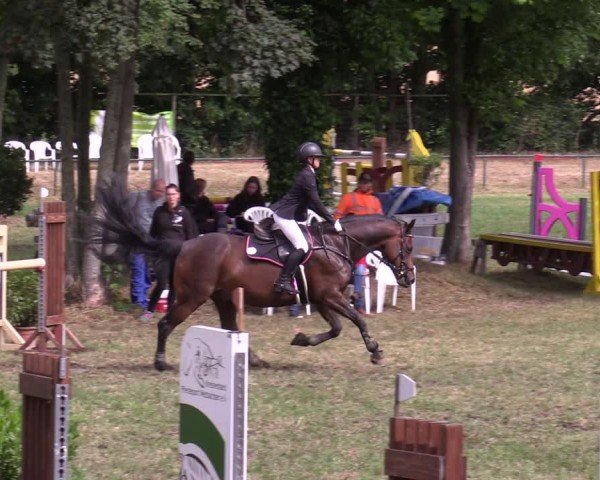 Reitturnier Limbach-Oberfrohna 2025