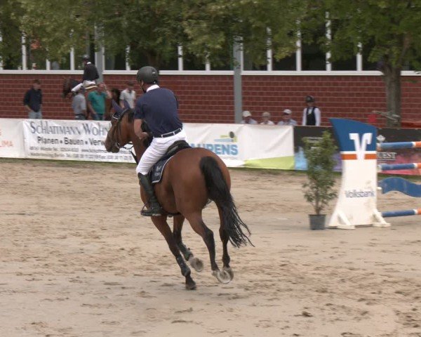 Reitturnier Münster-Roxel 2025
