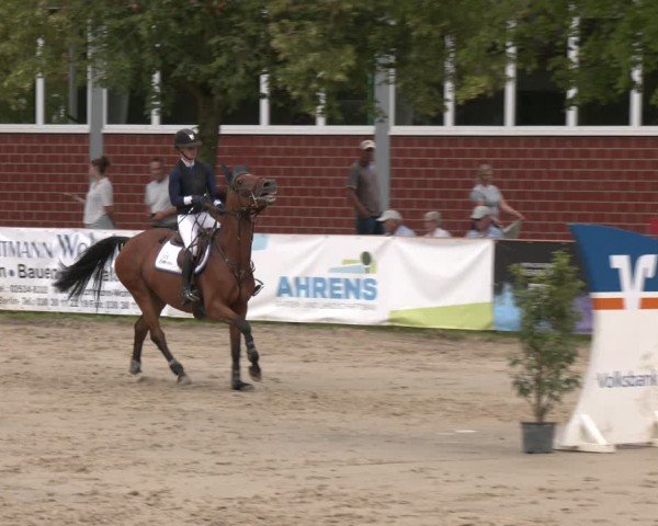 Reitturnier Münster-Roxel 2025