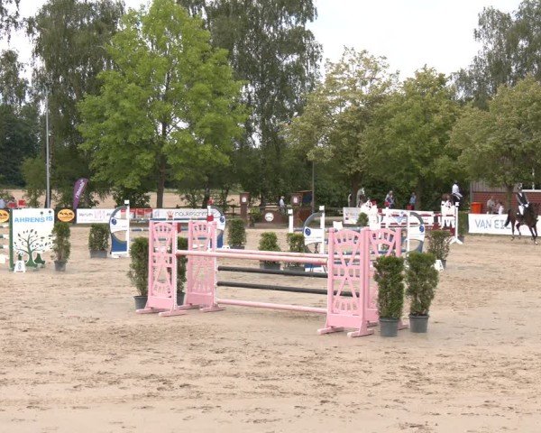 Reitturnier Münster-Roxel 2025