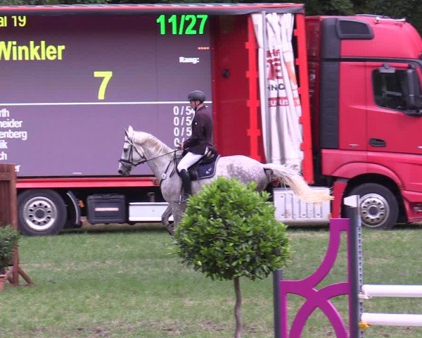 Reitturnier Limbach-Oberfrohna 2025