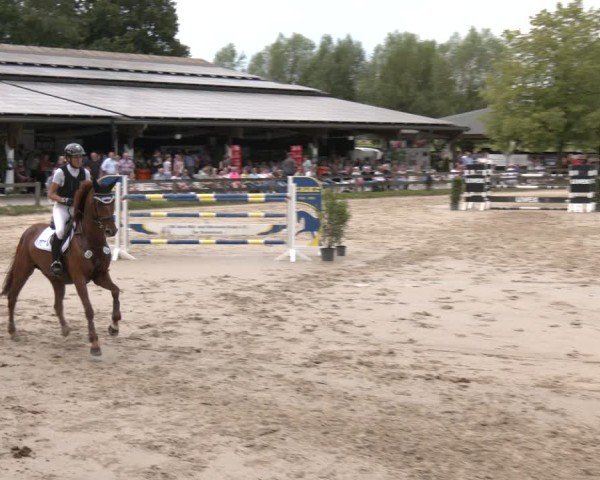 Reitturnier Münster-Roxel 2025