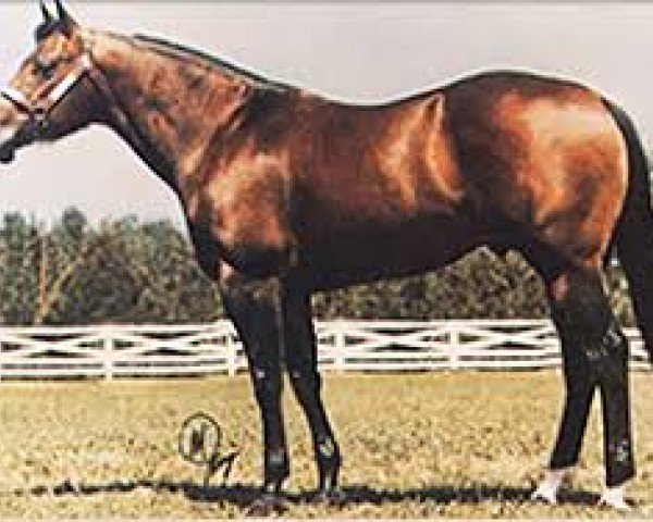 stallion Doc's Sugs Brudder (Quarter Horse, 1976, from Doc Bar)