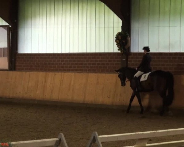 Iserlohn-Kalthof 2014