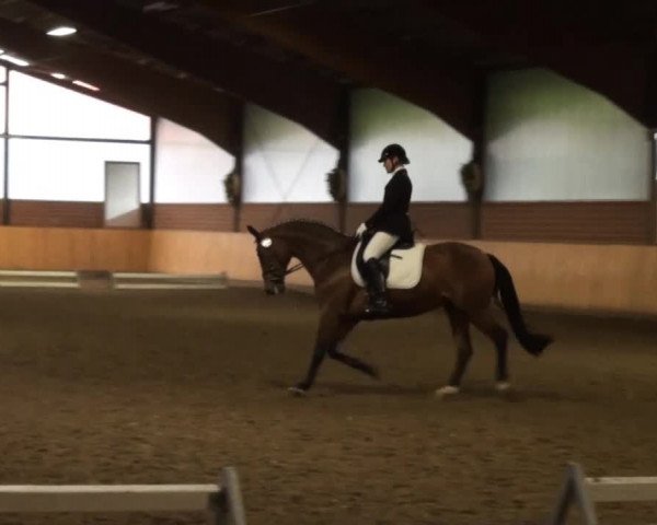 Iserlohn-Kalthof 2014