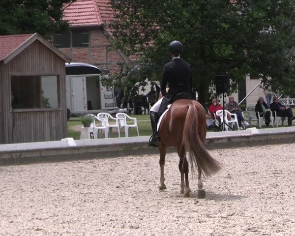 Reitturnier Redefin 2025