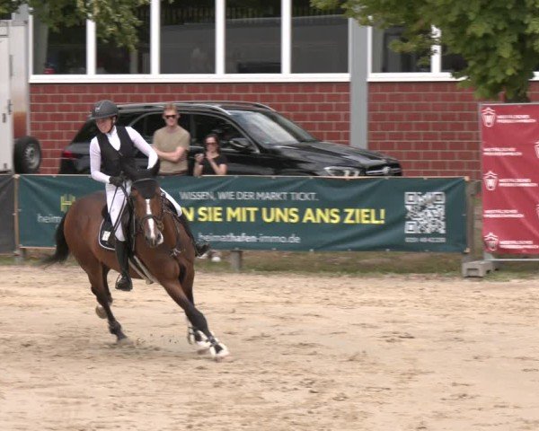 Reitturnier Münster-Roxel 2025