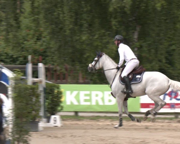 Reitturnier Münster-Roxel 2025