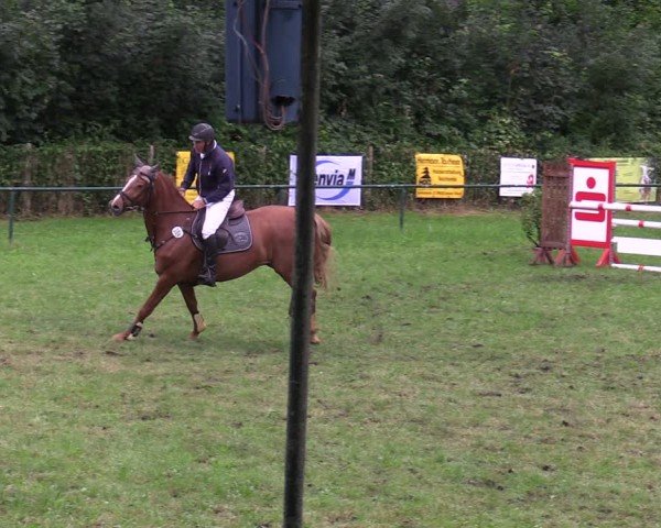 Reitturnier Limbach-Oberfrohna 2025