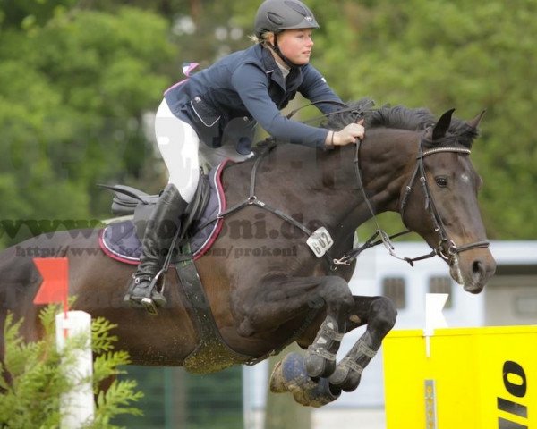 broodmare Ninya 2 (Rhinelander, 2004, from Numero Uno)