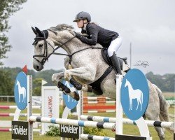 broodmare Queenie 28 (Oldenburg show jumper, 2009, from Quintender 2)