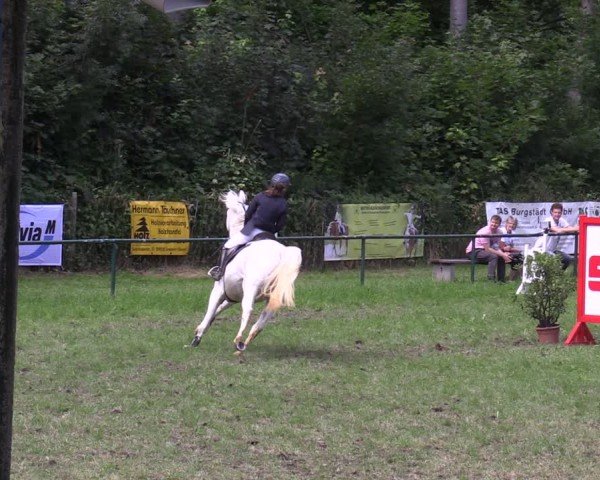 Reitturnier Limbach-Oberfrohna 2025