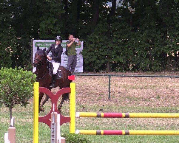 Reitturnier Limbach-Oberfrohna 2025