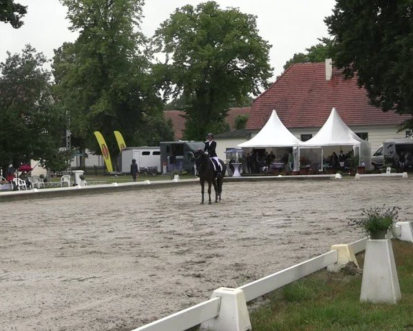 Reitturnier Redefin 2025