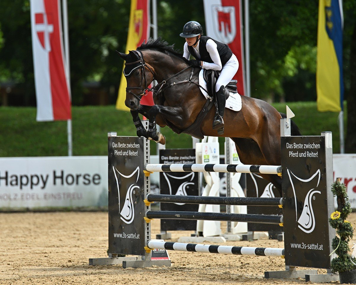 jumper Clarissa 189 (Oldenburg show jumper, 2015, from Chacco-Blue)