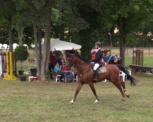 Reitturnier Limbach-Oberfrohna 2025