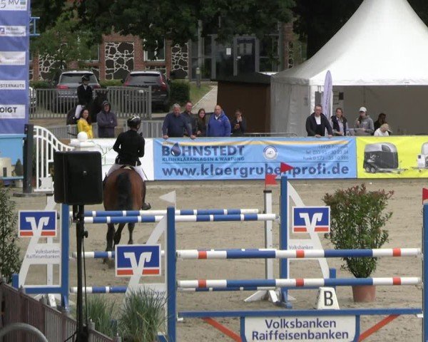 Reitturnier Redefin 2025