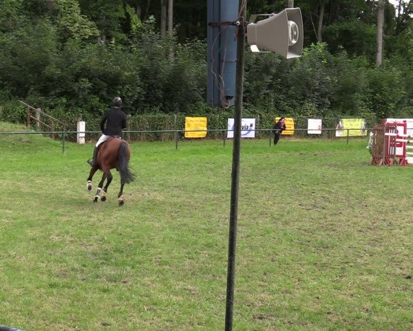 Reitturnier Limbach-Oberfrohna 2025