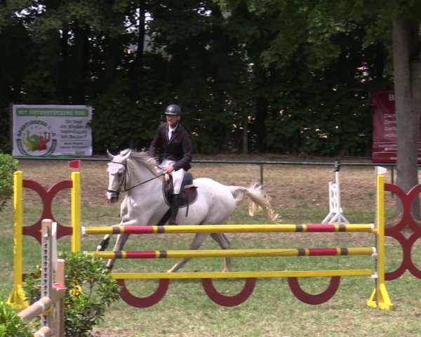 Reitturnier Limbach-Oberfrohna 2025