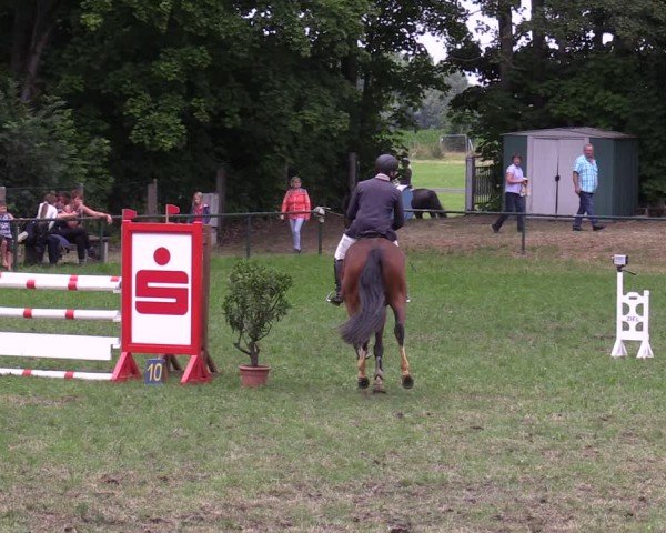 Reitturnier Limbach-Oberfrohna 2025