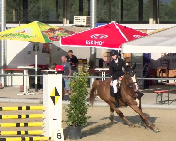 Reitturnier Rankweil 2025