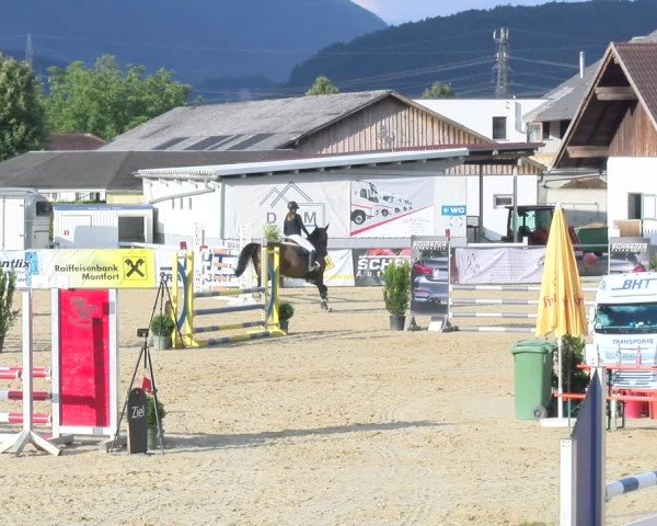 Reitturnier Rankweil 2025
