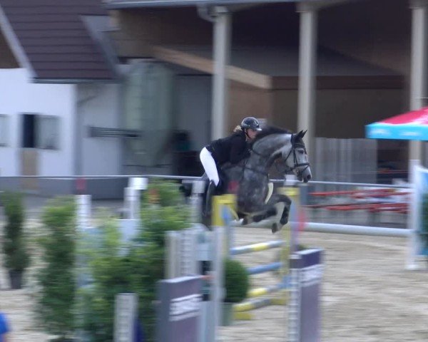 Reitturnier Rankweil 2025