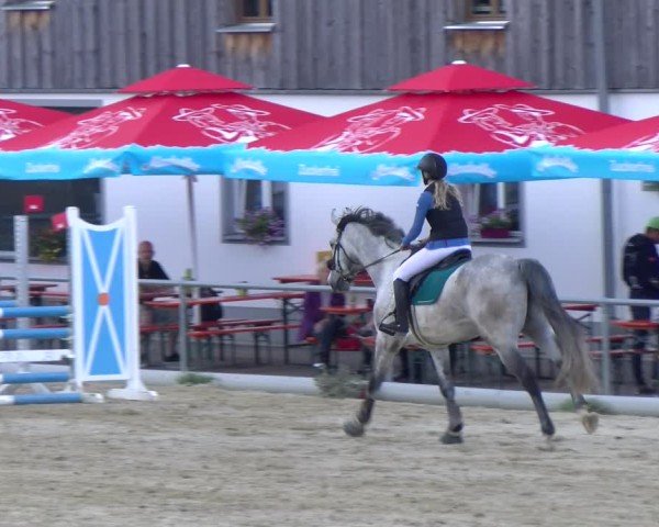 Reitturnier Rankweil 2025