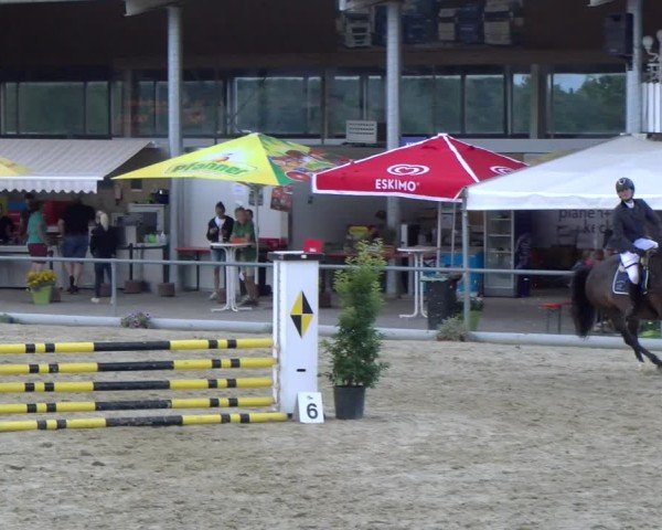 Reitturnier Rankweil 2025
