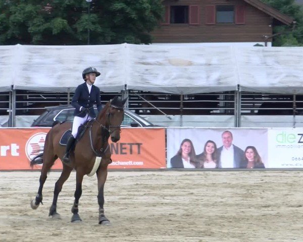 Reitturnier Rankweil 2025