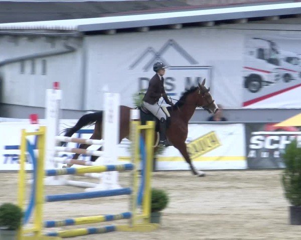 Reitturnier Rankweil 2025