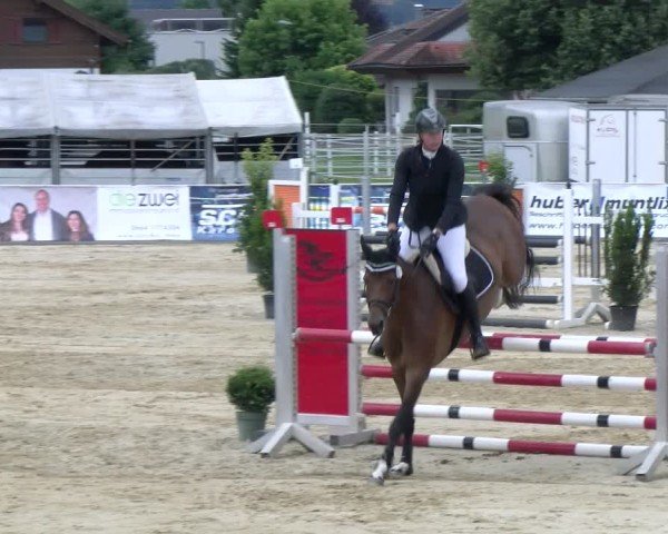 Reitturnier Rankweil 2025