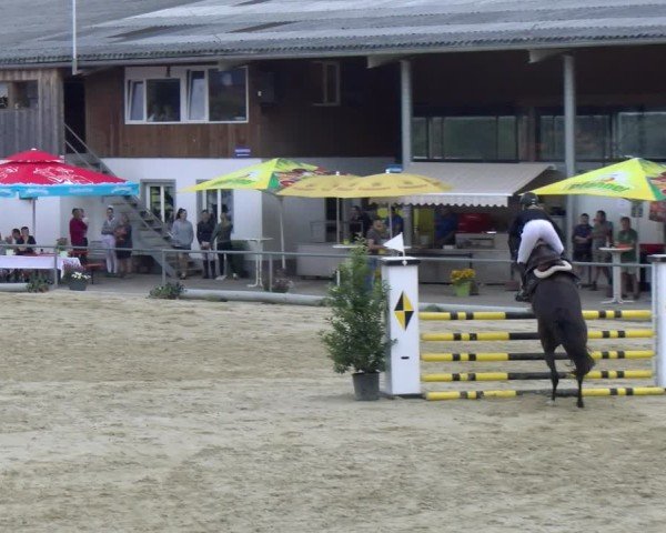 Reitturnier Rankweil 2025